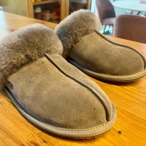 Brand New UGG Scuffette II Water-Resistant Slipper